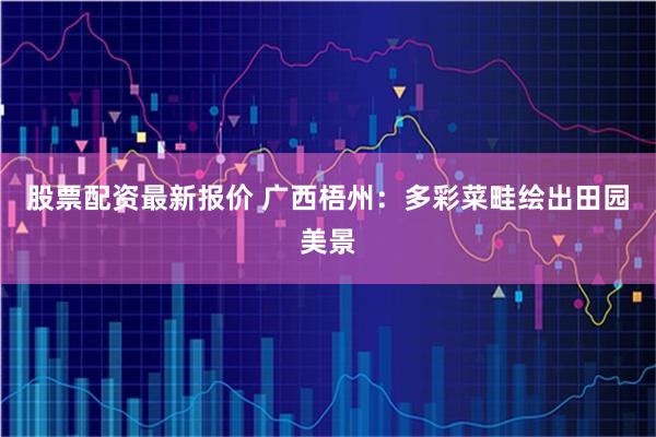 股票配资最新报价 广西梧州：多彩菜畦绘出田园美景